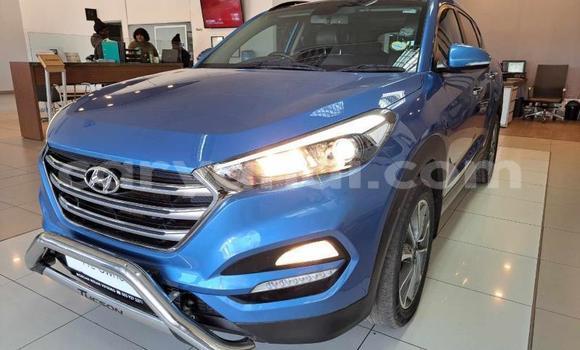 Buy Used Hyundai Tucson Blue Car in Lusaka in Zambia Buy Used Hyundai Tucson Blue Car in Lusaka in Zambia