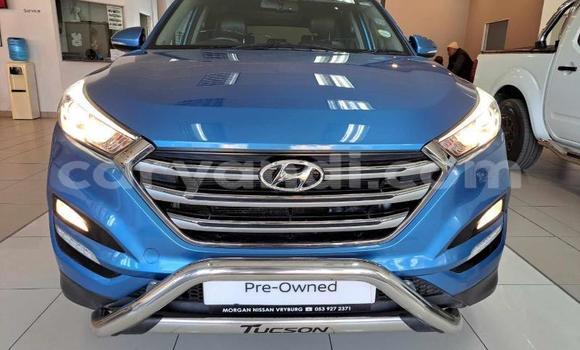 Buy Used Hyundai Tucson Blue Car in Lusaka in Zambia Buy Used Hyundai Tucson Blue Car in Lusaka in Zambia