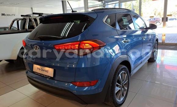 Buy Used Hyundai Tucson Blue Car in Lusaka in Zambia Buy Used Hyundai Tucson Blue Car in Lusaka in Zambia