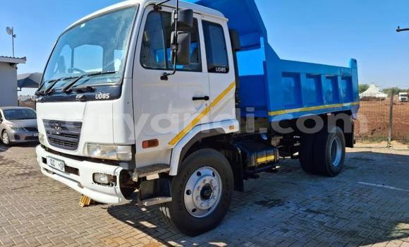Buy Used Nissan UD Blue Truck in Livingstone in Zambia