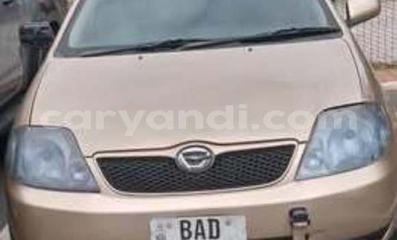 Buy Used Toyota Allex Other Car in Lusaka in Zambia