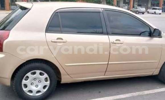 Buy Used Toyota Allex Other Car in Lusaka in Zambia Buy Used Toyota Allex Other Car in Lusaka in Zambia