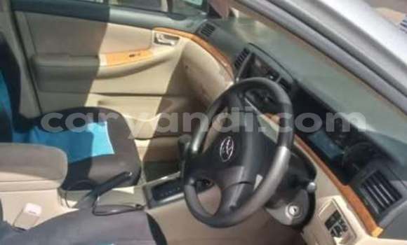 Buy Used Toyota Runx Other Car in Lusaka in Zambia Buy Used Toyota Runx Other Car in Lusaka in Zambia