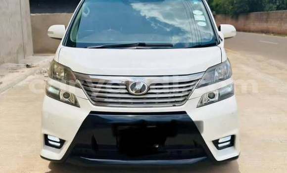 Buy Used Toyota Vellfire Other Car in Lusaka in Zambia