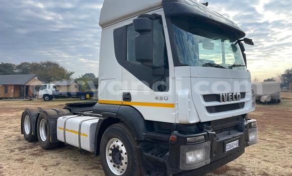Buy Used Iveco CURSOR White Truck in Lusaka in Zambia