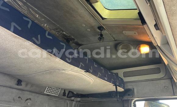 Nunua Ilio tumika Iveco CURSOR Nyeupe Lori ndani ya Lusaka nchini Zambia Nunua Ilio tumika Iveco CURSOR Nyeupe Lori ndani ya Lusaka nchini Zambia