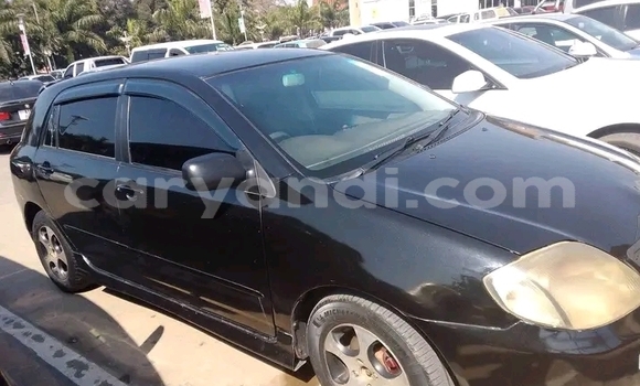 Buy Used Toyota Runx Other Car in Choma in Southern Buy Used Toyota Runx Other Car in Choma in Southern