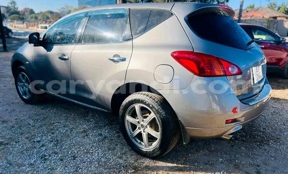 Tenga Tsaru Nissan Murano Sirivha Mota in Choma in Southern