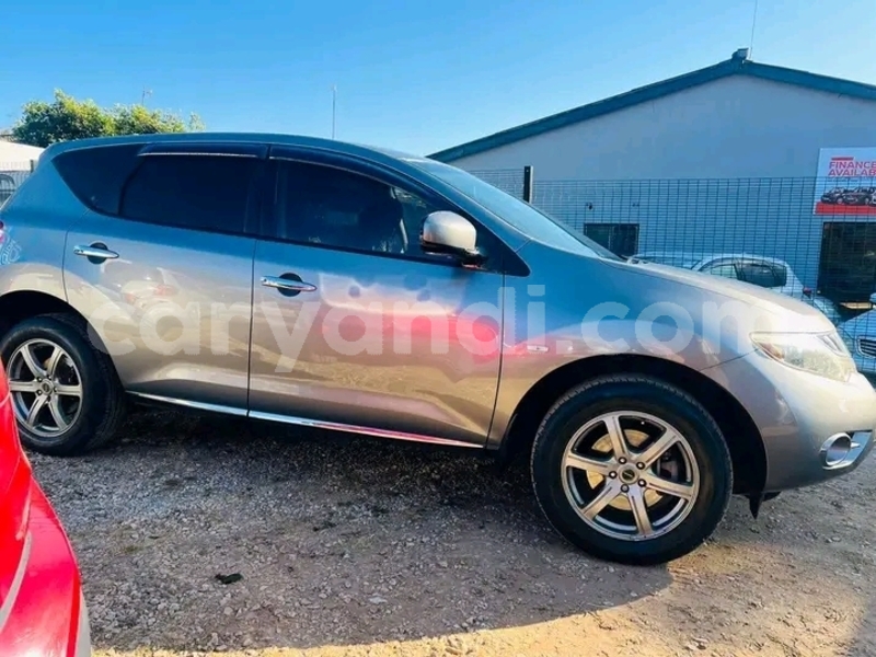 Big with watermark nissan murano southern choma 29853