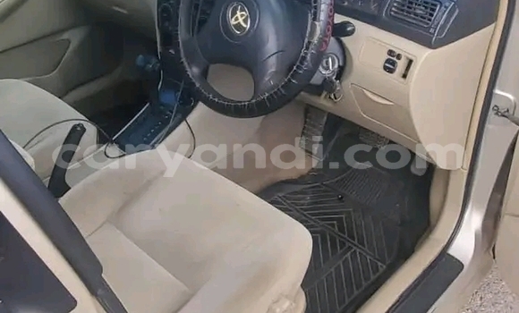 Tenga Tsaru Toyota Runx Zvimwe Mota in Choma in Southern Tenga Tsaru Toyota Runx Zvimwe Mota in Choma in Southern