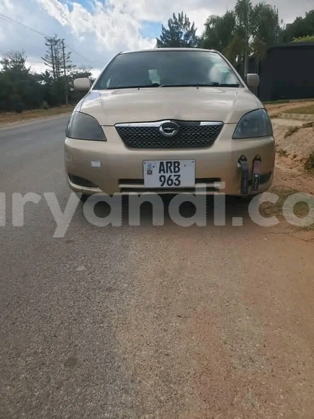 Big with watermark toyota runx southern choma 29854