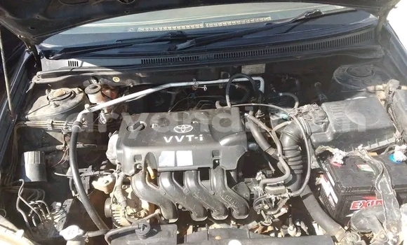 Buy Used Toyota Runx Black Car in Chipata in Zambia