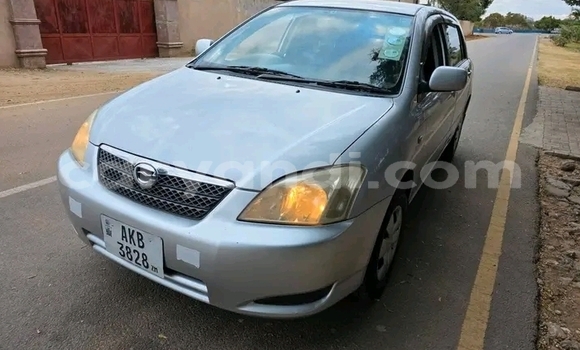 Acheter Occasion Voiture Toyota Runx Autre à Choma, Du sud