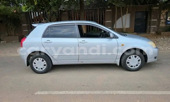 Tenga Tsaru Toyota Runx Zvimwe Mota in Choma in Southern Tenga Tsaru Toyota Runx Zvimwe Mota in Choma in Southern