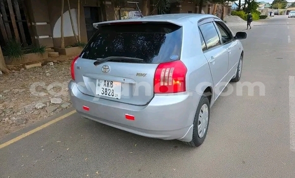 Tenga Tsaru Toyota Runx Zvimwe Mota in Choma in Southern Tenga Tsaru Toyota Runx Zvimwe Mota in Choma in Southern