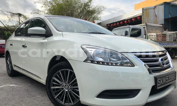 Buy Used Nissan Bluebird Sylphy White Car in Lusaka in Zambia Buy Used Nissan Bluebird Sylphy White Car in Lusaka in Zambia