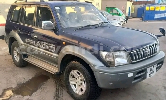 Tenga Tsaru Toyota Prado Zvimwe Mota in Kalomo in Southern Tenga Tsaru Toyota Prado Zvimwe Mota in Kalomo in Southern