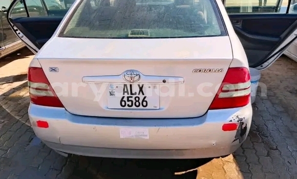 Tenga Tsaru Toyota Corolla Zvimwe Mota in Kaoma in Western Tenga Tsaru Toyota Corolla Zvimwe Mota in Kaoma in Western