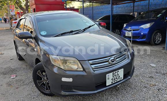 Acheter Occasion Voiture Toyota Axio Autre à Lusaka, Zambie