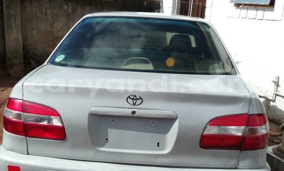 Buy Used Toyota Corolla Other Car in Lusaka in Zambia Buy Used Toyota Corolla Other Car in Lusaka in Zambia