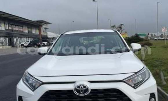 Nunua Ilio tumika Toyota RAV4 Nyeupe Gari ndani ya Lusaka nchini Zambia Nunua Ilio tumika Toyota RAV4 Nyeupe Gari ndani ya Lusaka nchini Zambia
