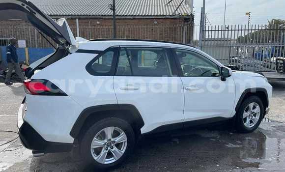 Buy Used Toyota RAV4 White Car in Lusaka in Zambia Buy Used Toyota RAV4 White Car in Lusaka in Zambia