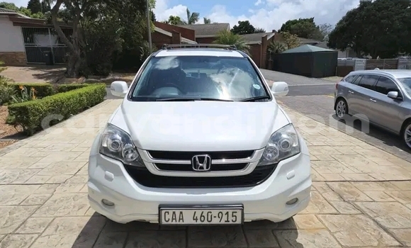 Cars for sale in zambia - caryandi