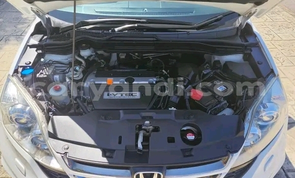 Acheter Occasion Voiture Honda CR–V Blanc à Lusaka, Zambie Acheter Occasion Voiture Honda CR–V Blanc à Lusaka, Zambie