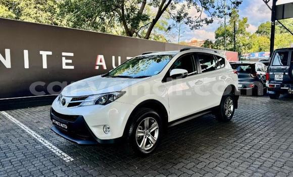 Acheter Occasion Voiture Toyota RAV4 Blanc à Choma, Du sud