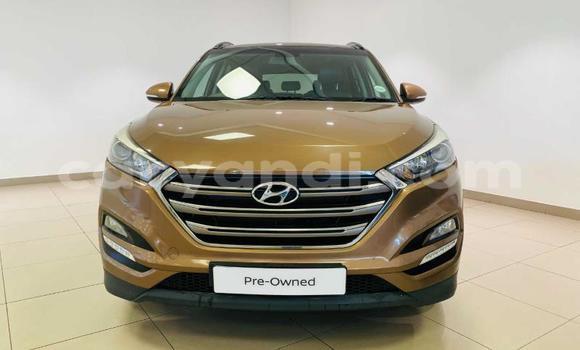 Buy Used Hyundai Tucson Brown Car in Choma in Southern Buy Used Hyundai Tucson Brown Car in Choma in Southern