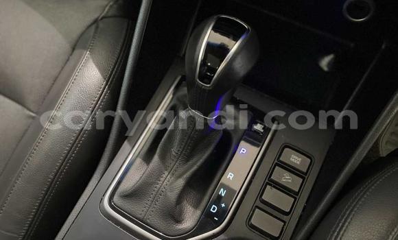 Acheter Occasion Voiture Hyundai Tucson Marron à Choma, Du sud Acheter Occasion Voiture Hyundai Tucson Marron à Choma, Du sud