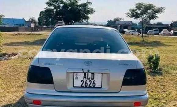 Nunua Ilio tumika Toyota Corolla Nyingine Gari ndani ya Lusaka nchini Zambia Nunua Ilio tumika Toyota Corolla Nyingine Gari ndani ya Lusaka nchini Zambia