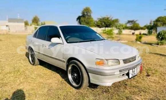 Buy Used Toyota Corolla Other Car in Lusaka in Zambia Buy Used Toyota Corolla Other Car in Lusaka in Zambia