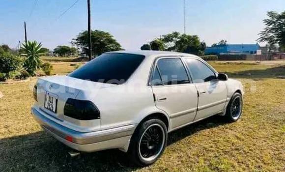 Buy Used Toyota Corolla Other Car in Lusaka in Zambia Buy Used Toyota Corolla Other Car in Lusaka in Zambia