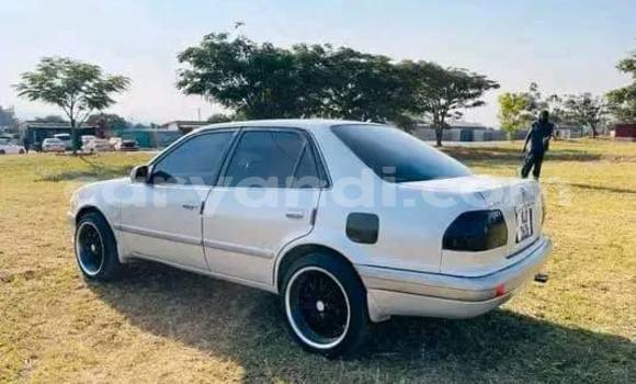 Buy Used Toyota Corolla Other Car in Lusaka in Zambia Buy Used Toyota Corolla Other Car in Lusaka in Zambia