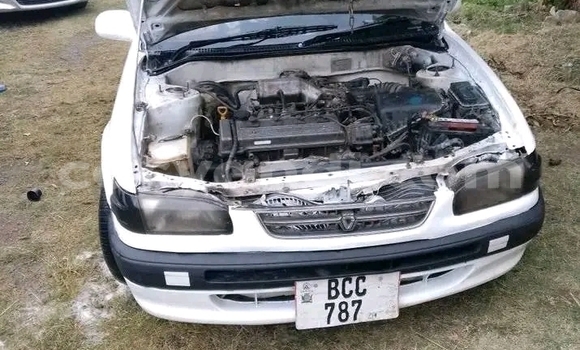 Buy Used Toyota Corolla White Car in Lusaka in Zambia