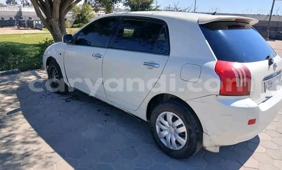 Buy Used Toyota Runx White Car in Chipata in Zambia Buy Used Toyota Runx White Car in Chipata in Zambia