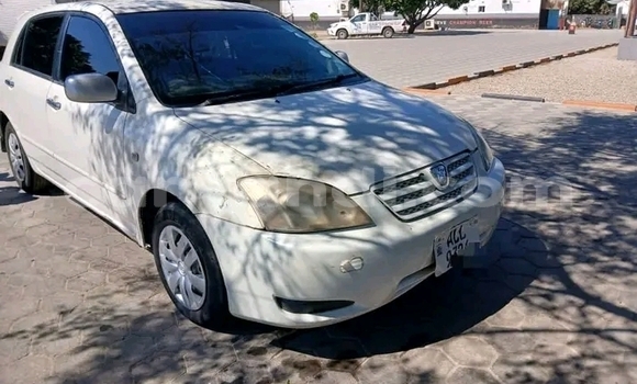 Nunua Ilio tumika Toyota Runx Nyeupe Gari ndani ya Chipata nchini Zambia Nunua Ilio tumika Toyota Runx Nyeupe Gari ndani ya Chipata nchini Zambia