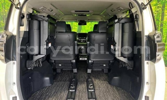 Tenga Tsaru Toyota Vellfire Chena Mota in Lusaka in Zambia Tenga Tsaru Toyota Vellfire Chena Mota in Lusaka in Zambia