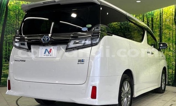 Tenga Tsaru Toyota Vellfire Chena Mota in Lusaka in Zambia Tenga Tsaru Toyota Vellfire Chena Mota in Lusaka in Zambia