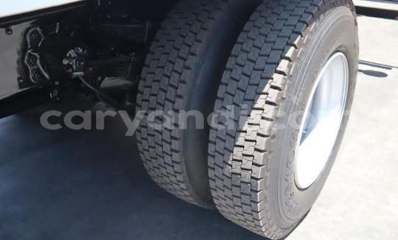 Tenga Tsaru Hino Ranger Chena Rori in Kabwe in Zambia Tenga Tsaru Hino Ranger Chena Rori in Kabwe in Zambia