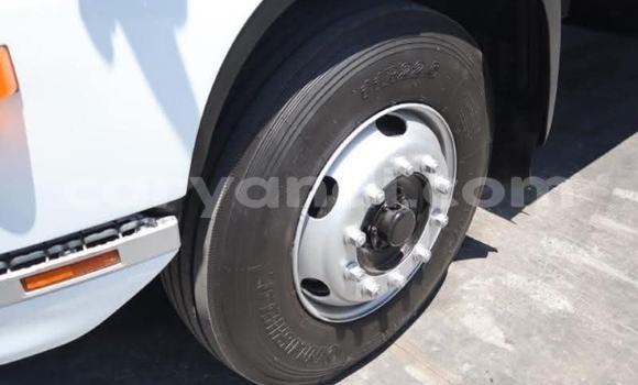 Tenga Tsaru Hino Ranger Chena Rori in Kabwe in Zambia Tenga Tsaru Hino Ranger Chena Rori in Kabwe in Zambia