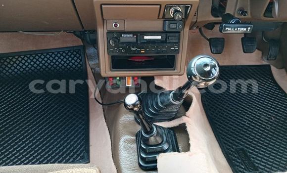 Nunua Ilio tumika Toyota Hilux Beige Gari ndani ya Kabwe nchini Zambia Nunua Ilio tumika Toyota Hilux Beige Gari ndani ya Kabwe nchini Zambia