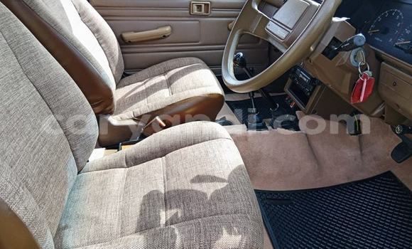 Nunua Ilio tumika Toyota Hilux Beige Gari ndani ya Kabwe nchini Zambia Nunua Ilio tumika Toyota Hilux Beige Gari ndani ya Kabwe nchini Zambia