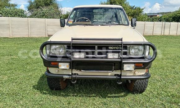 Nunua Ilio tumika Toyota Hilux Beige Gari ndani ya Kabwe nchini Zambia Nunua Ilio tumika Toyota Hilux Beige Gari ndani ya Kabwe nchini Zambia