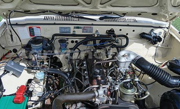 Nunua Ilio tumika Toyota Hilux Beige Gari ndani ya Kabwe nchini Zambia Nunua Ilio tumika Toyota Hilux Beige Gari ndani ya Kabwe nchini Zambia
