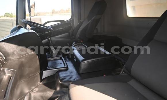 Tenga Tsaru Hino Ranger Chena Rori in Kabwe in Zambia Tenga Tsaru Hino Ranger Chena Rori in Kabwe in Zambia