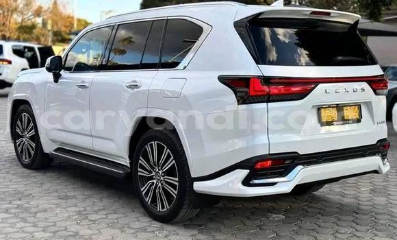 Buy Used Lexus LX 570 White Car in Lusaka in Zambia Buy Used Lexus LX 570 White Car in Lusaka in Zambia
