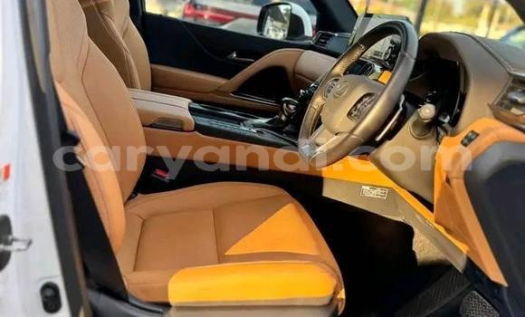 Buy Used Lexus LX 570 White Car in Lusaka in Zambia Buy Used Lexus LX 570 White Car in Lusaka in Zambia