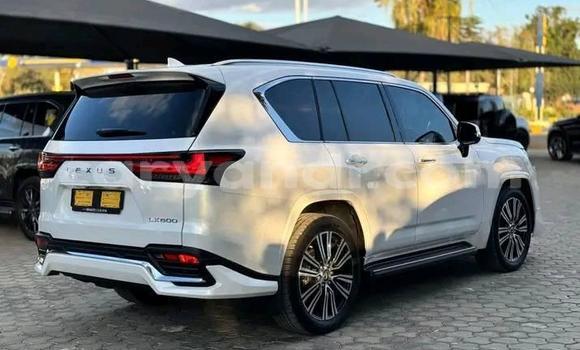 Buy Used Lexus LX 570 White Car in Lusaka in Zambia Buy Used Lexus LX 570 White Car in Lusaka in Zambia